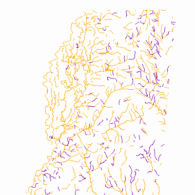 Export Image